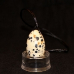 Vajíčko Jaspis Dalmatin S